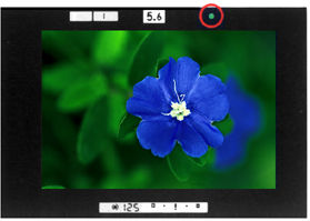 infocus.jpg