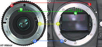 afbackview.jpg