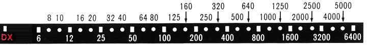 dxbar.gif