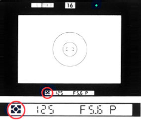 viewinfomatrix.jpg