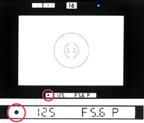 viewinfospot.jpg