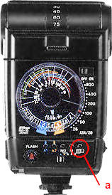 SB16 illus.jpg (15k)