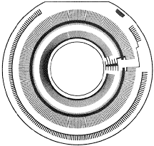 FRE.gif (14k)