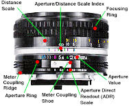 AI lens Illus.jpg (12k)