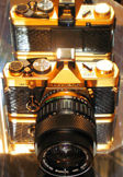 Gold_OM2n_10sml.jpg