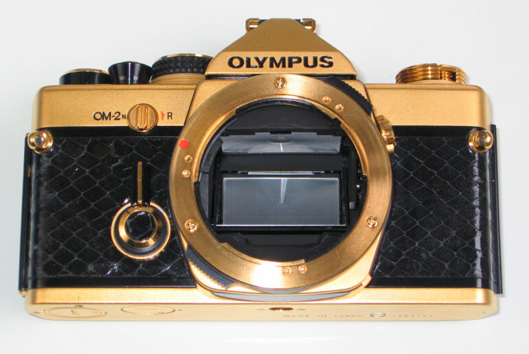 Gold_OM2n_Top13.JPG