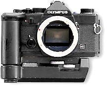 mdfrontview.jpg