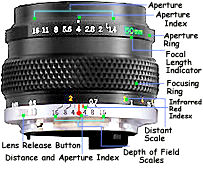 zuiko50illus.jpg
