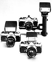 FlashGroup.jpg