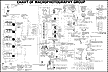 Chart.gif