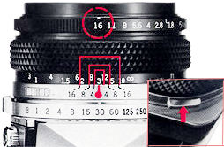 DOF Preview.jpg