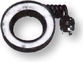 T10 Ringflash.jpg