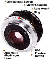 Lens illus.jpg