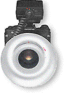Disc.gif