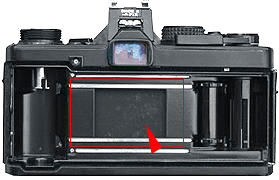 om2bkviewopen.jpg
