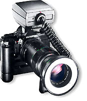 macroflashmdm.jpg