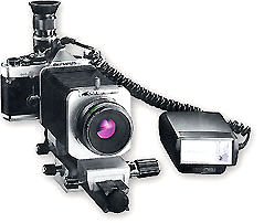 macroflashmdm2.jpg