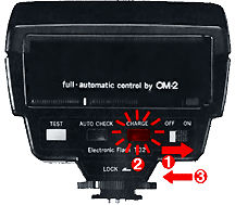 Backview.jpg