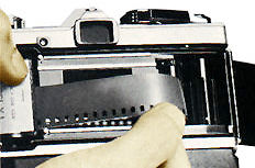 FilmStrip.jpg