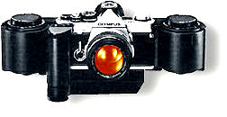 250FilmBack.jpg