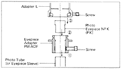 Grapg5.Gif