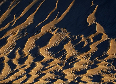 duneB.jpg (28k) Loading ...
