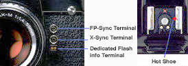 Terminals.jpg