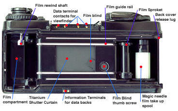 LX back view.jpg (26k)