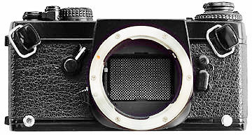 Shutter Curtain.jpg (23k)