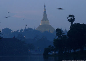 Swedagon lake view, Yangon
