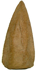 kor_liang Rear View