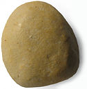 WCsangajaiRearMdm.jpg