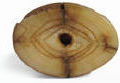 tonyLPparntoothBaseMdm.jpg