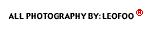 leofoophoto.gif
