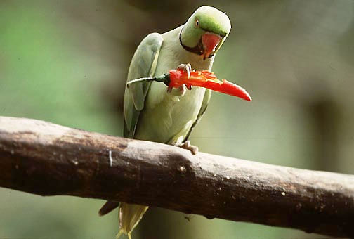 You will be surprised at this ..... 24k  loading...