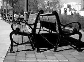 Artful Black and White