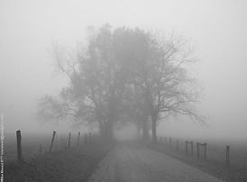 Misty morning