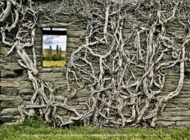 window in window