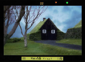 The house