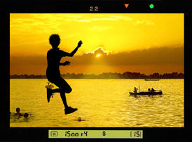 Joy..in the sun