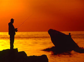 Fisherman .. 
