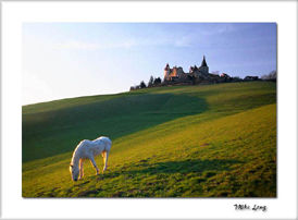 beautiful France.jpg