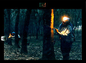Rubber tapper.jpg