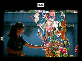 A Thai House warming...