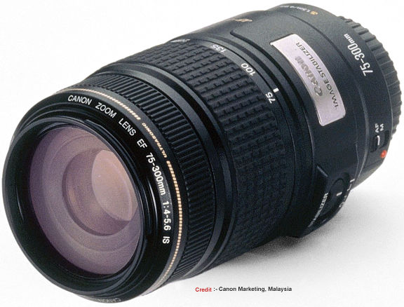 wraak laten we het doen Hoe The IS (Image Stabilizer) version (1995) of the Canon EF 75-300mm Telephoto  Zoom lens - Part III
