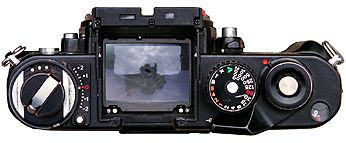 F3P top View.jpg (17k)